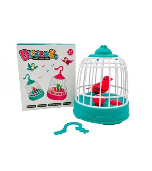 Bird Cage