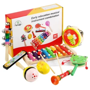 Set musical - Early education musical isntrument combination