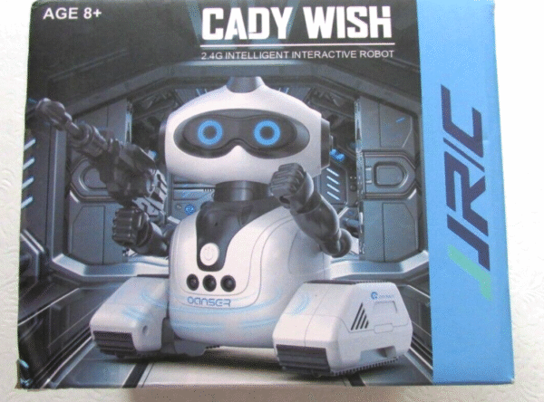 Robot inteligente Cady Wish